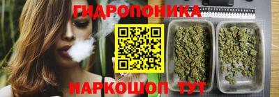индика Краснодар