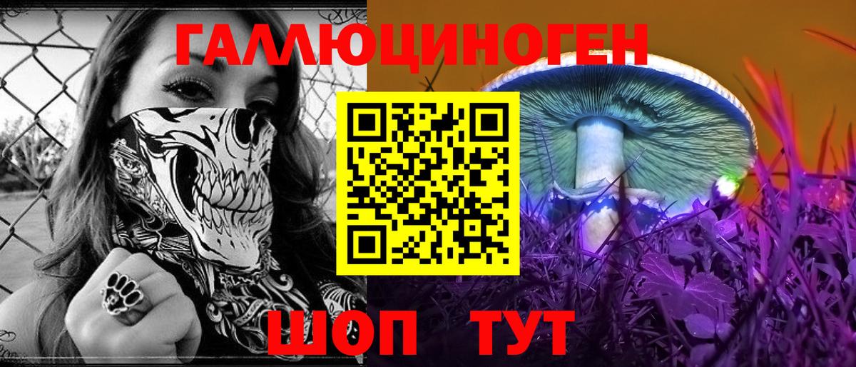Псилоцибиновые грибы Psilocybe Аксай